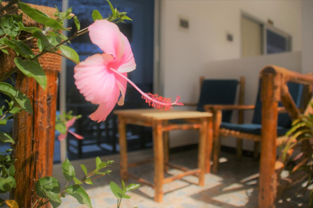 Hakuna Matata Boutique Paje Dış mekan fotoğraf